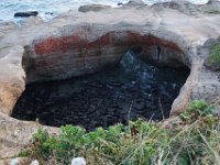 Summer Vacation 2018-203  Devil's Punchbowl in Depoe Bay